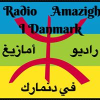 Radio Amazigh Danemark