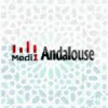 Radio Medi 1 Andalouse
